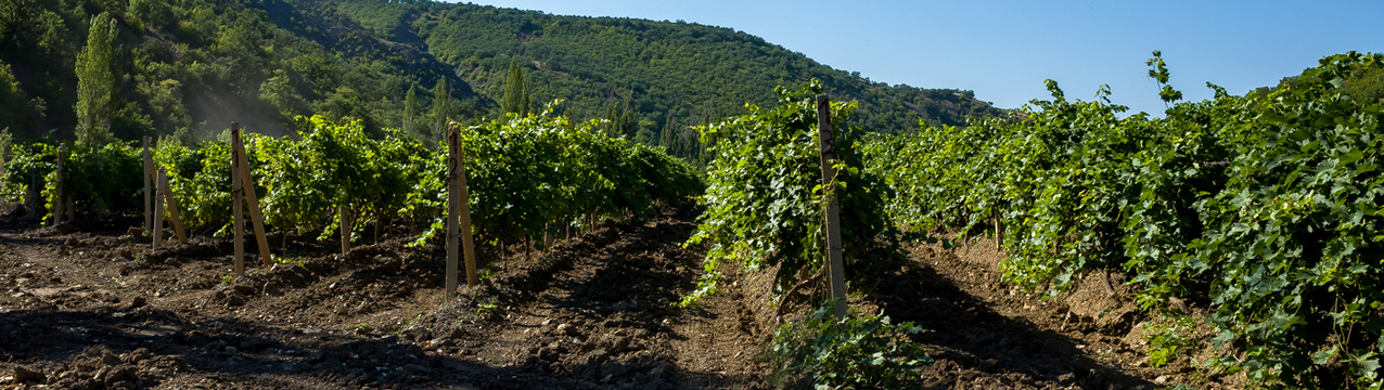 Friday of the Second Week of Lent – March 5, 2021