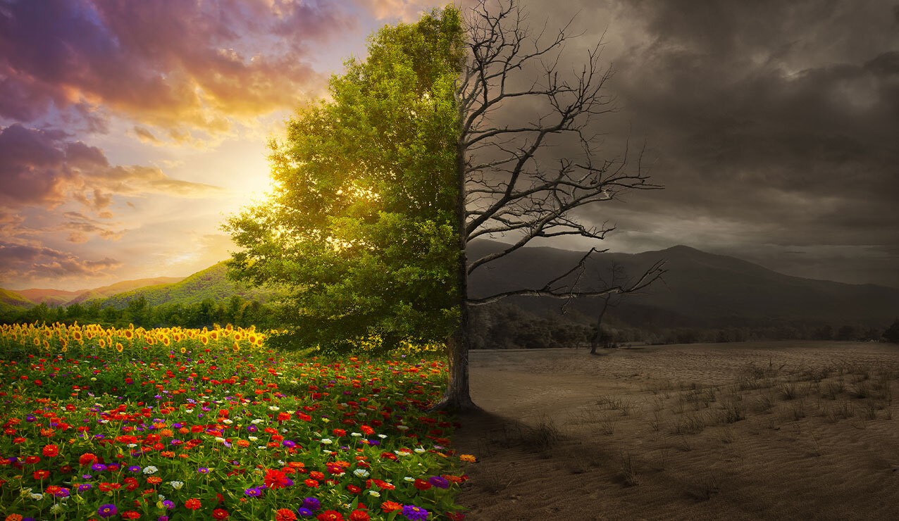 Thursday after Ash Wednesday, March 6, 2025