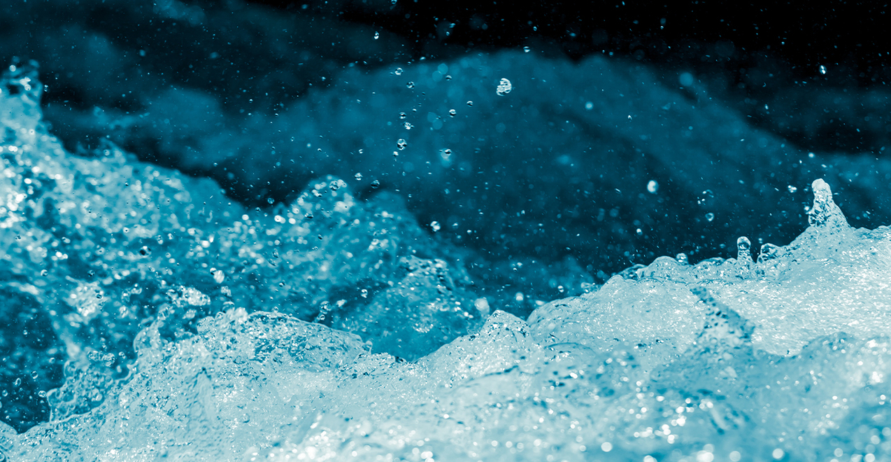 First Sunday of Lent – February 18, 2024 