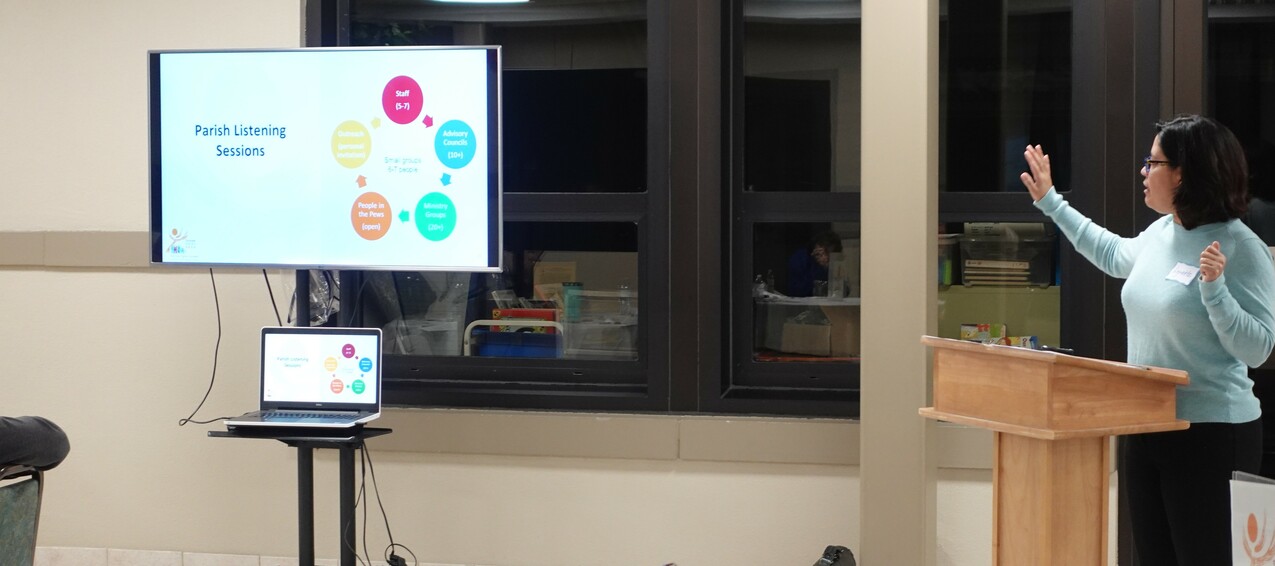 Facilitator training sessions underway for diocesan synodal process