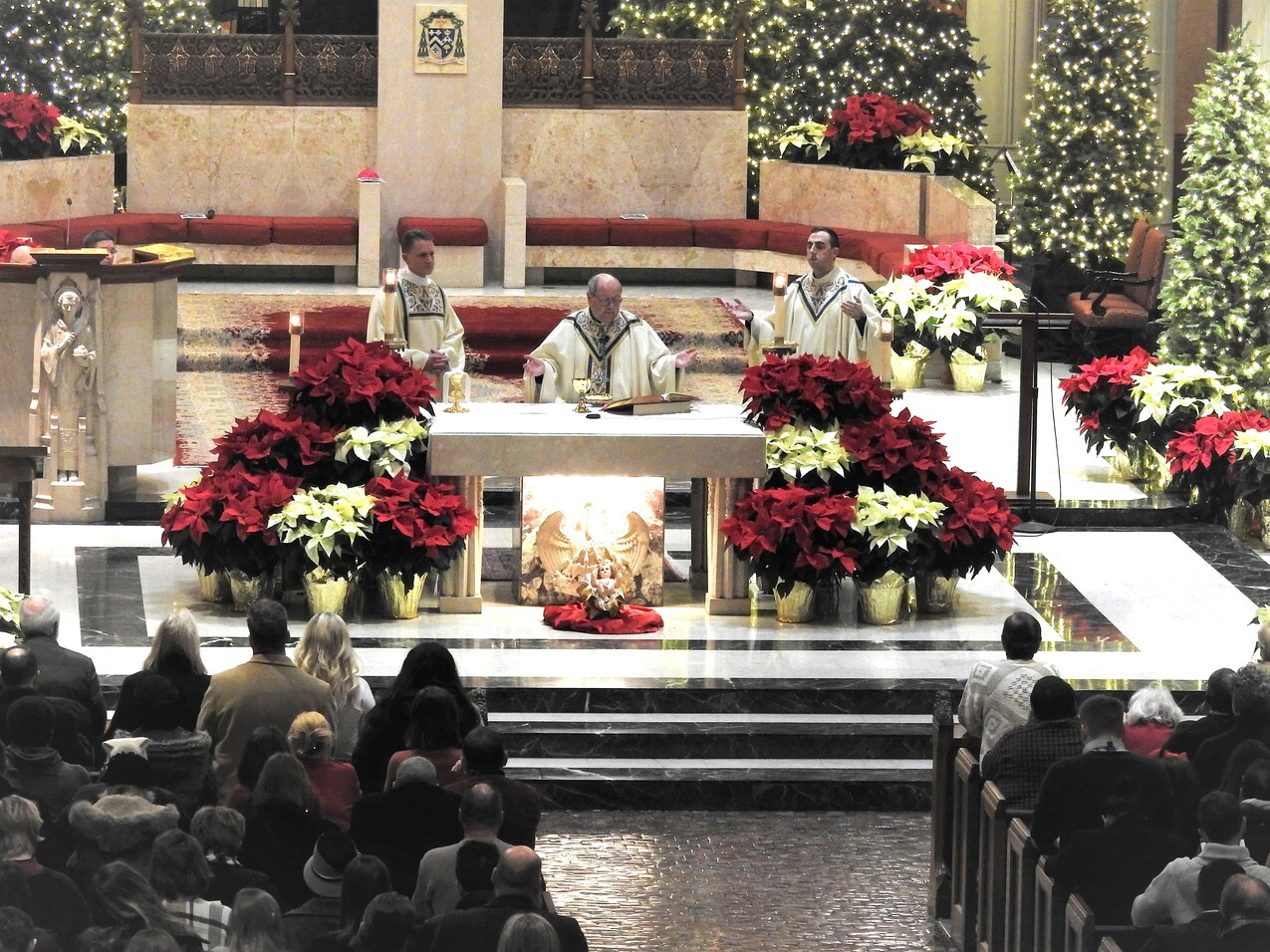 Christmas season Mass, confession schedule announced for Cathedral of St. John the Evangelist