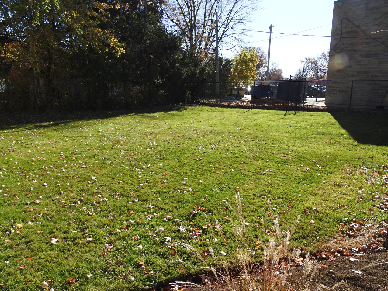 SS. Robert & William School hopes #weGiveCatholic will help greenhouse project grow