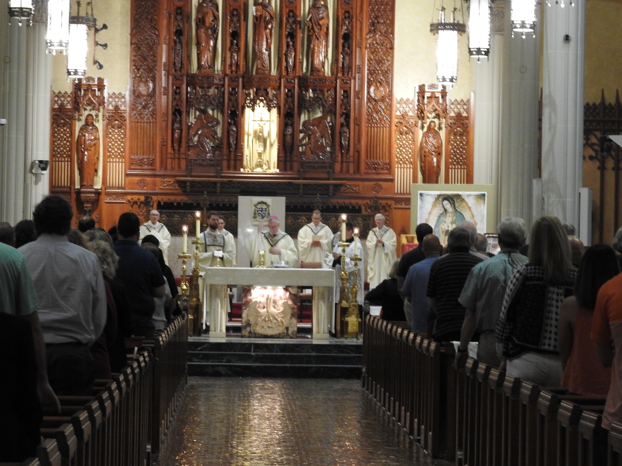Eucharistic Revival will conclude with Mass on June 28 in cathedral