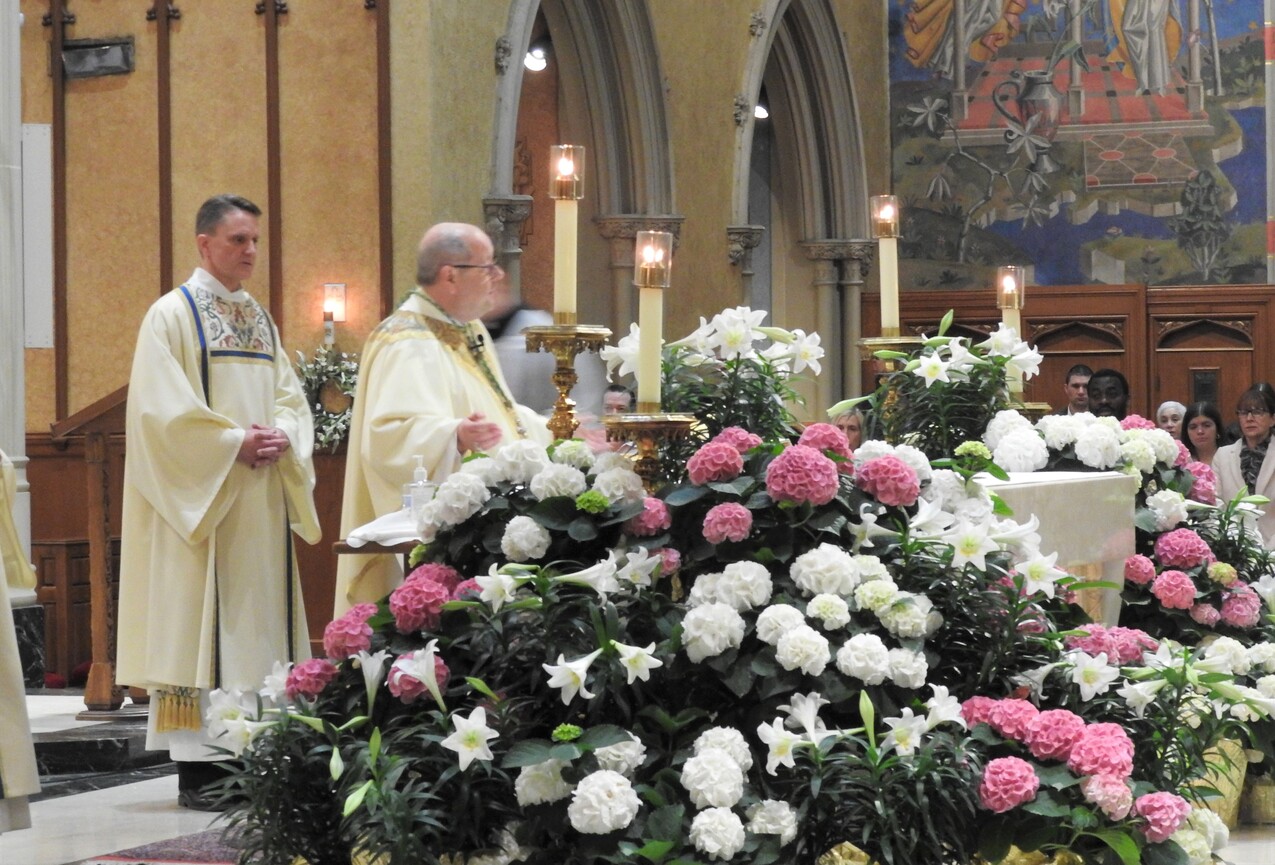 Holy Week liturgies begin on Palm Sunday at cathedral