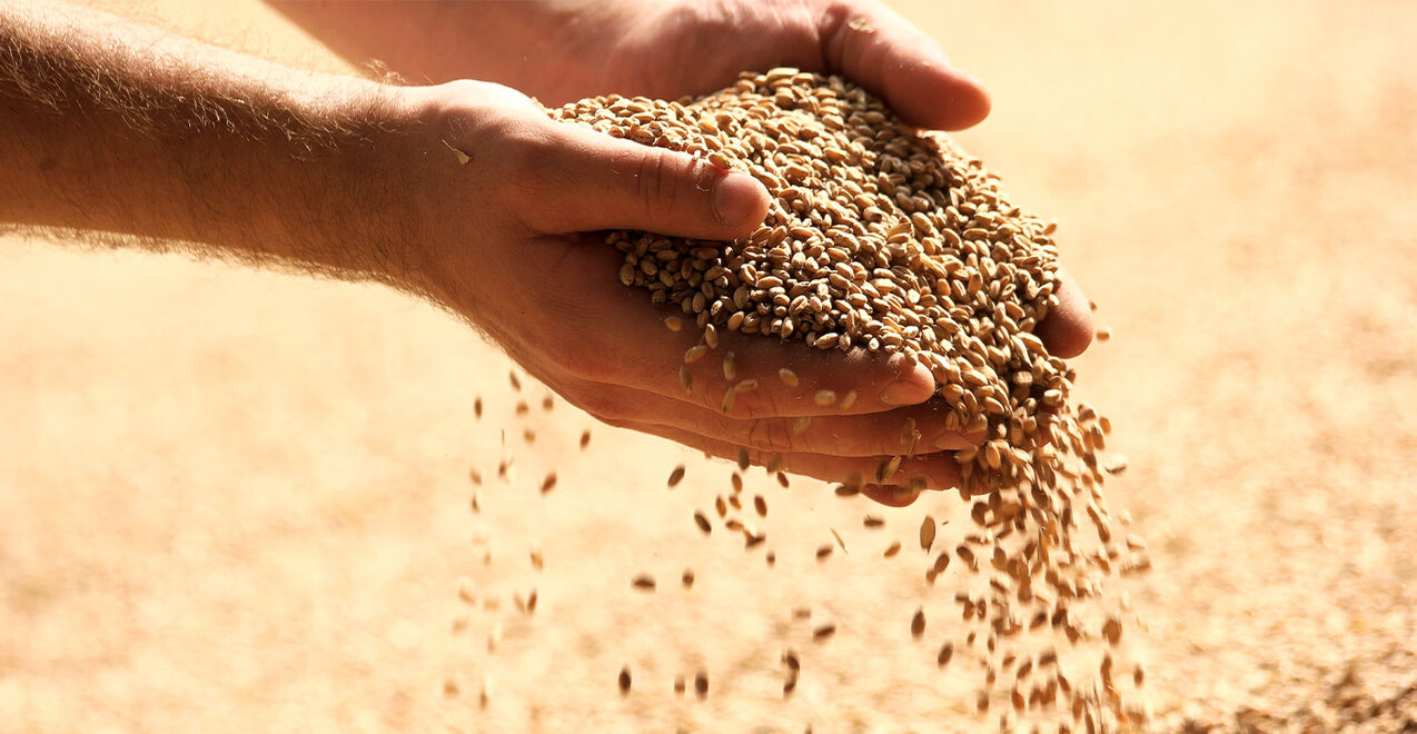 Eighteenth Sunday in Ordinary Time — July 31, 2022