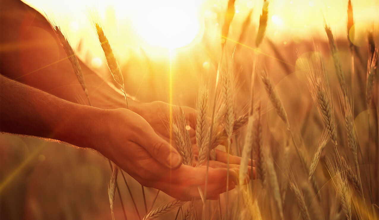 Fourteenth Sunday in Ordinary Time — July 6, 2025