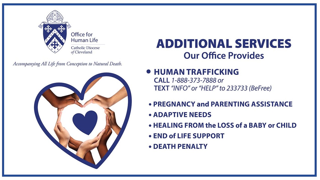 Office for Human Life expanding ministries