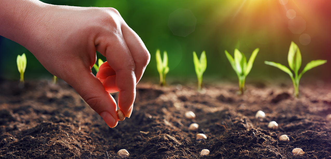 Eleventh Sunday in Ordinary Time — June 13, 2021