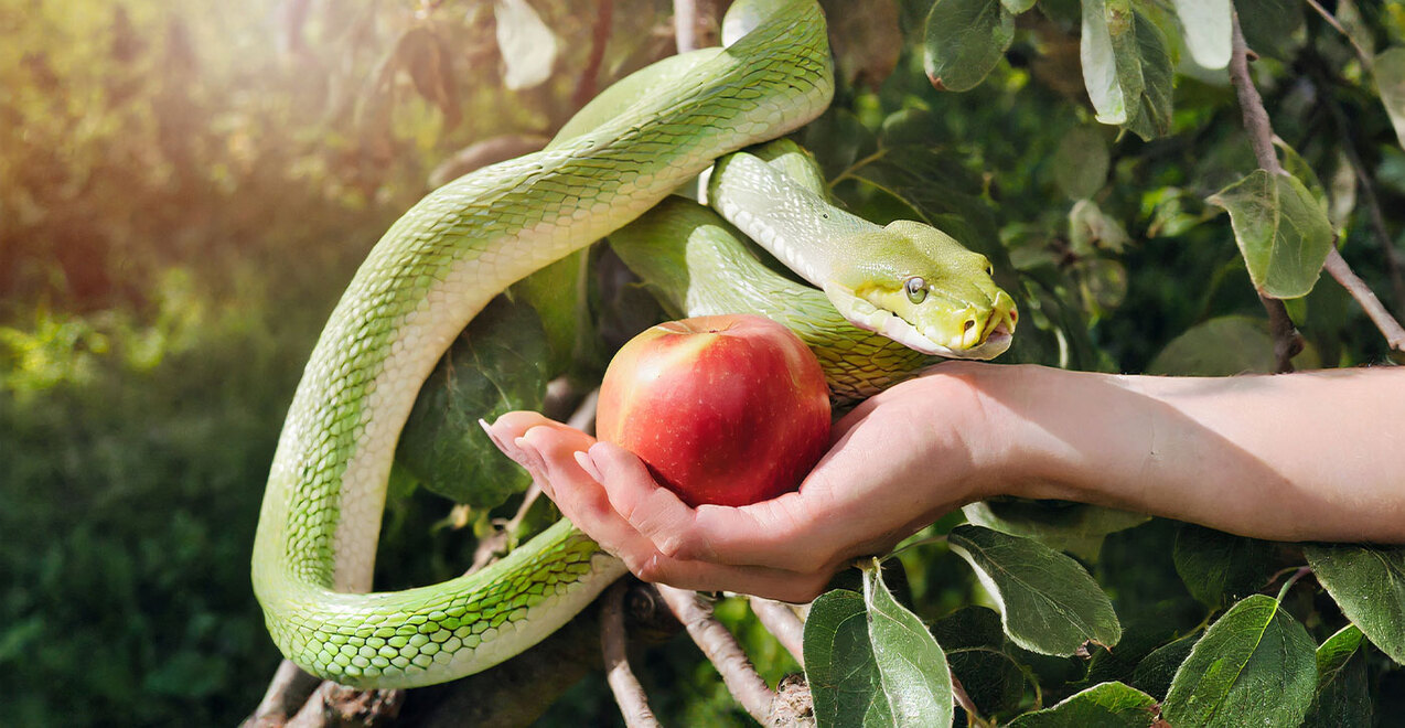 Tenth Sunday in Ordinary Time — June 9, 2024