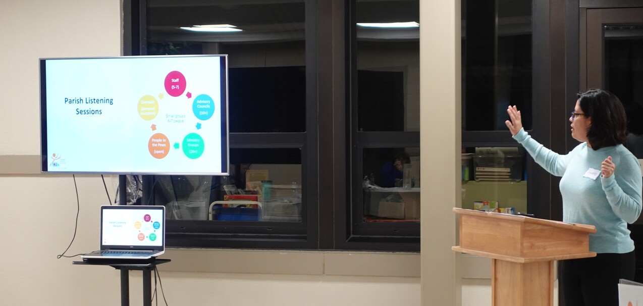 Progress continues on diocesan synod process