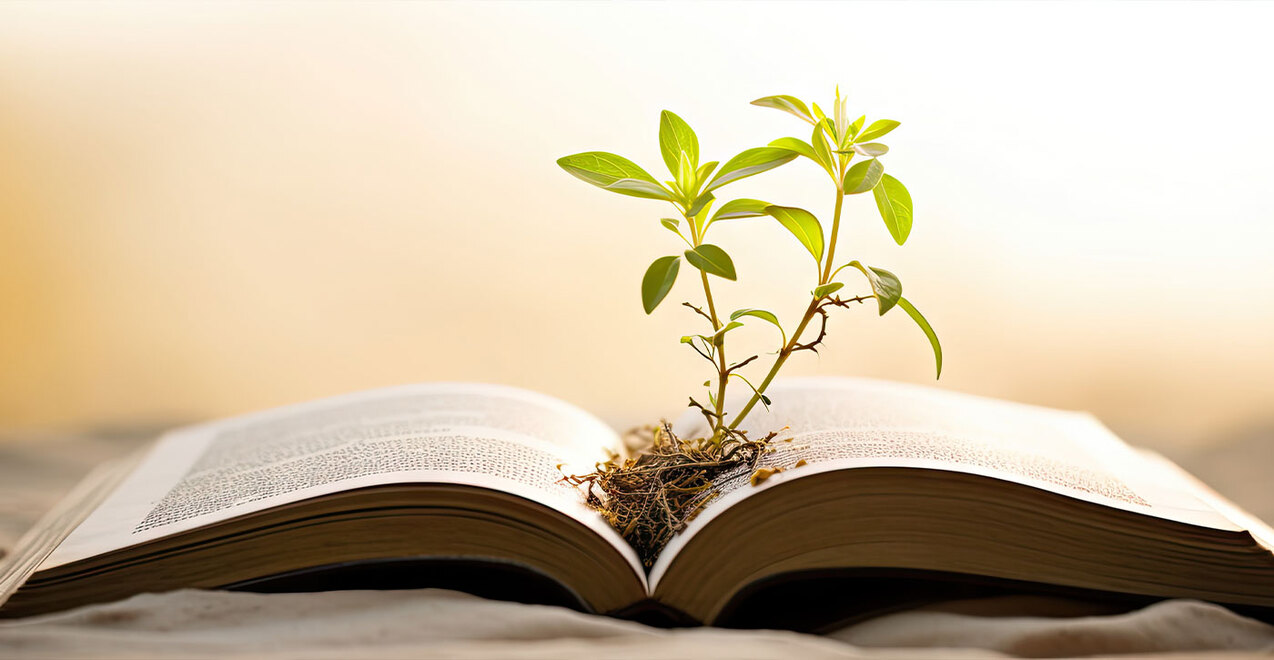 Eleventh Sunday in Ordinary Time — June 16, 2024