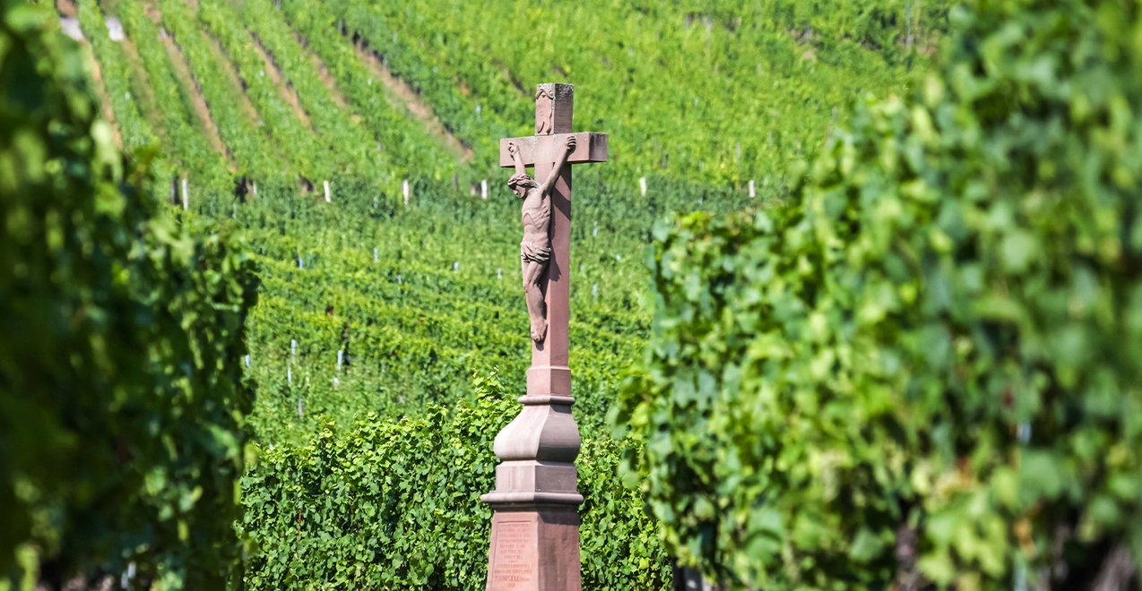 Twenty-seventh Sunday in Ordinary Time — Oct 8, 2023