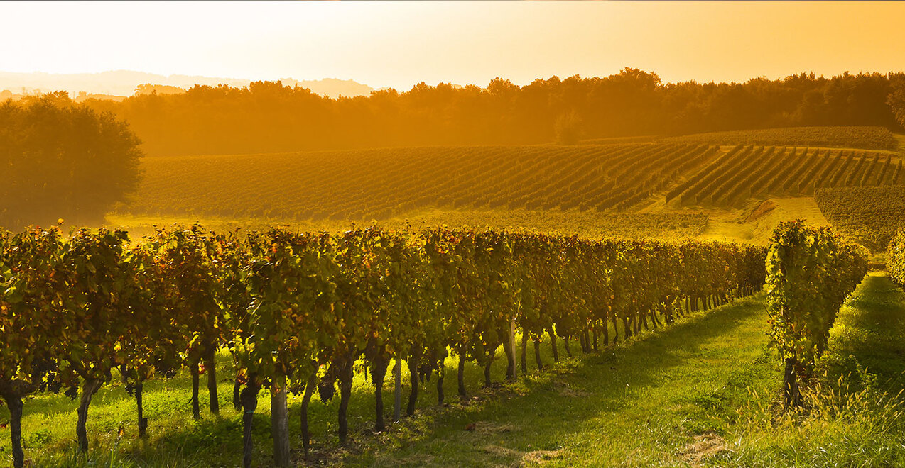 Friday of the Second Week of Lent – March 1, 2024