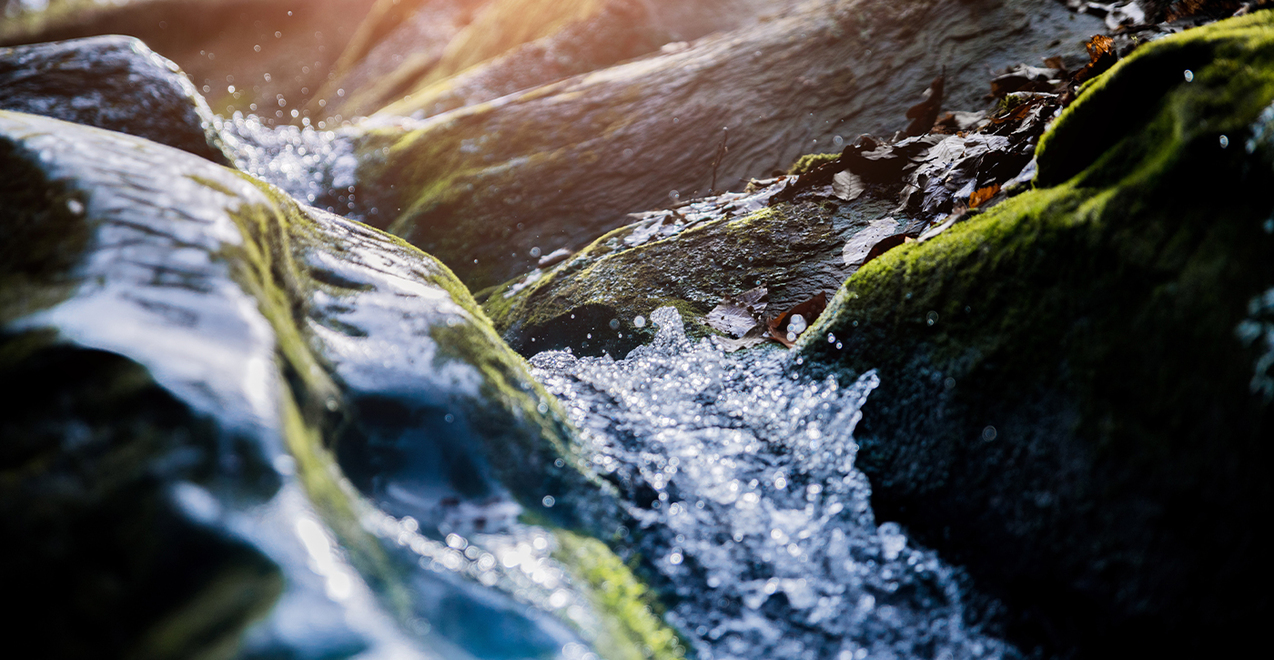 Tuesday of the Fourth Week of Lent – March 21, 2023