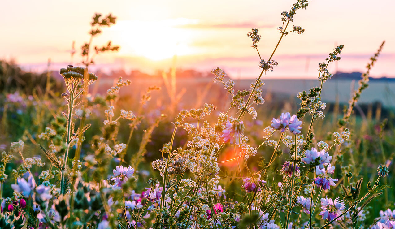 Twenty-fifth Sunday in Ordinary Time — Sept. 22, 2024