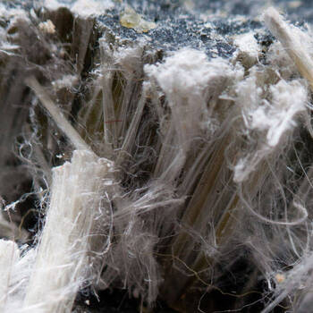offices-departments/facilities-services/asbestos-awareness