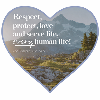 offices-departments/catechetical-formation-parish-life/parish-life/office-for-human-life